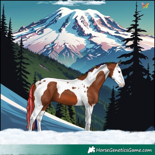 Horse Color:Painted Chestnut Splash Tobiano 