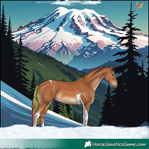 Horse Color:Painted Chestnut Tobiano