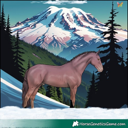 Horse Color:Classic Cream Champagne Tobiano Rabicano