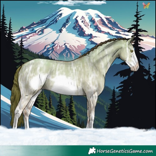 Horse Color:Gold Champagne Ice Dun Sabino Frame