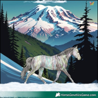 Horse Color:Silver Brown Ice Tobiano 