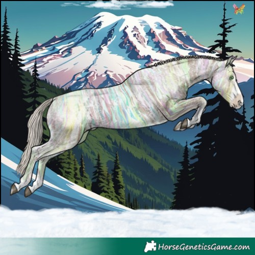 Horse Color:Silver Smoky Black Ice Sabino Rabicano 