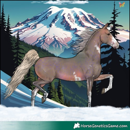 Horse Color:Watercolor White Spotted Silver Brown Rabicano 