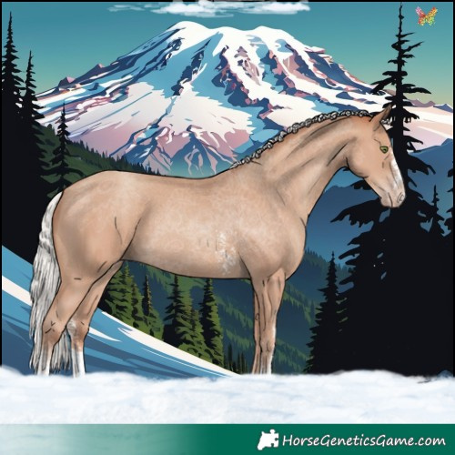 Horse Color:Silver Classic Champagne Sabino 