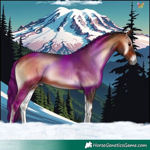 Horse Color:Bay Onyx