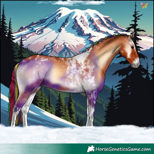 Horse Color:Painted Bay Onyx Tobiano Rabicano