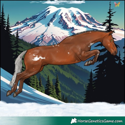 Horse Color:White Spotted Silver Bay 