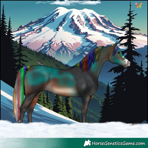 Horse Color:Painted Bay