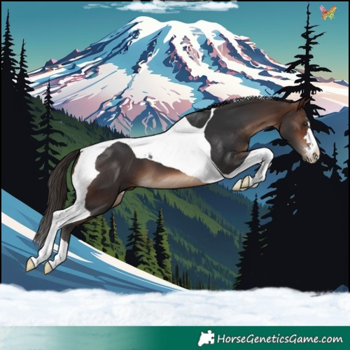 Horse Color:Brown Tobiano