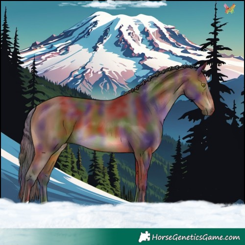 Horse Color:Nacre Bay