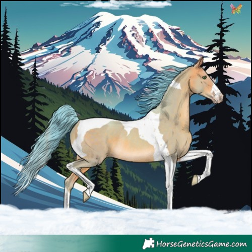 Horse Color:Watercolor Amber Champagne Tobiano Rabicano