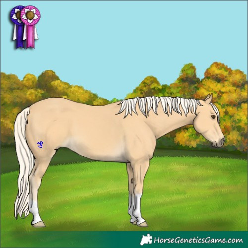 Horse Color:Palomino