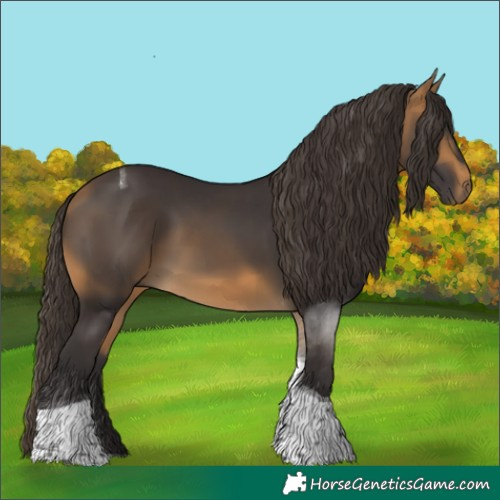 Horse Color:Buckskin Tobiano