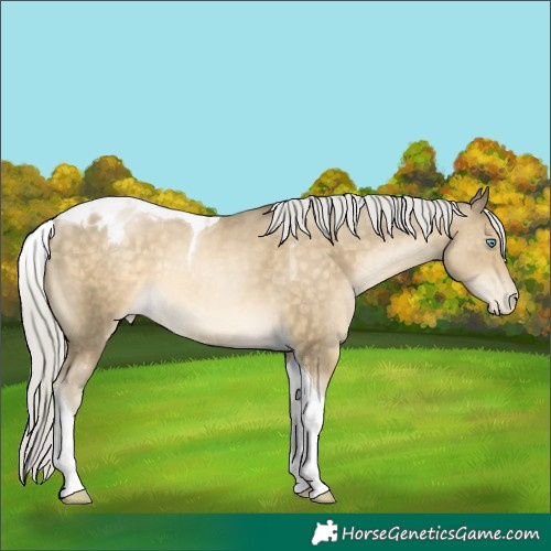 Horse Color:Silver Buckskin Pearl Tobiano Varnish