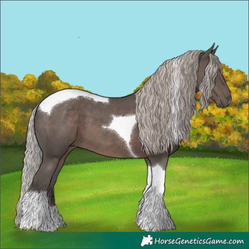 Horse Color:Silver Black Tobiano