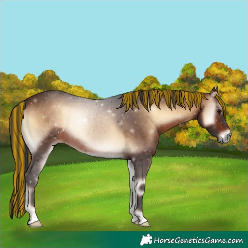 Horse Color:Painted Brown Onyx 