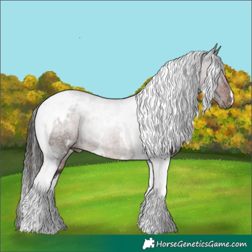 Horse Color:White Spotted Liver Chestnut Tobiano