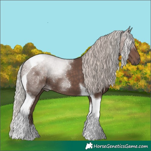 Horse Color:Silver Black Tobiano