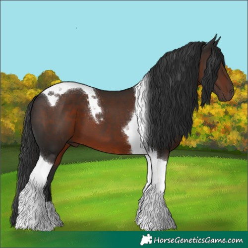 Horse Color:Liver Chestnut Tobiano
