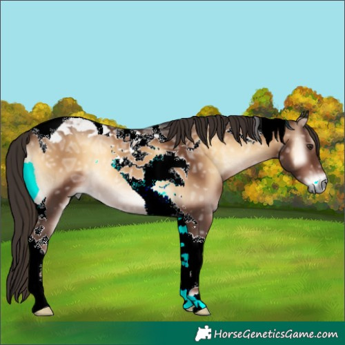 Horse Color:Liver Red Onyx Ice Tobiano