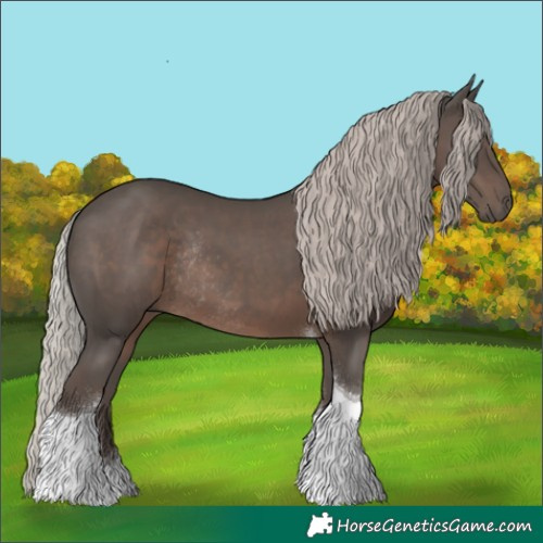 Horse Color:Silver Black Tobiano Rabicano