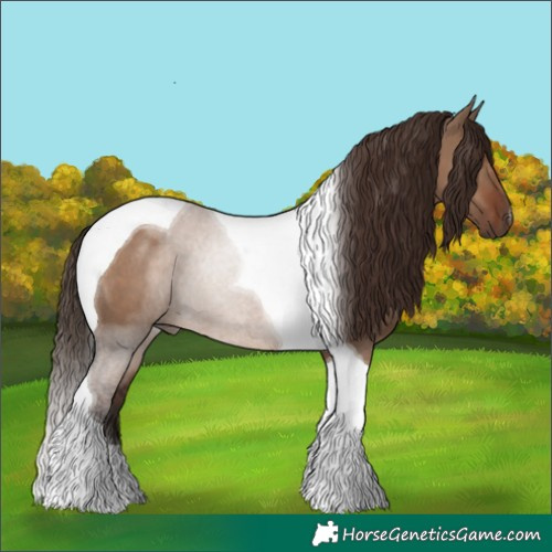 Horse Color:Liver Red Dun Tobiano Rabicano