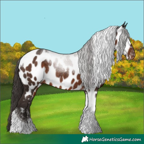 Horse Color:Liver Chestnut Tobiano Near Leopard Rabicano