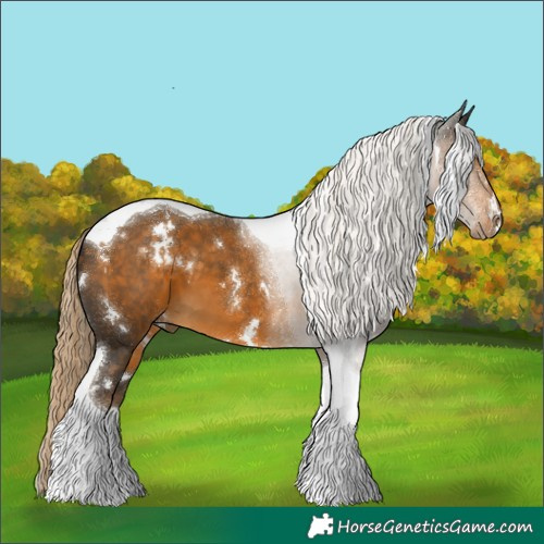 Horse Color:White Spotted Chocolate Palomino Tobiano