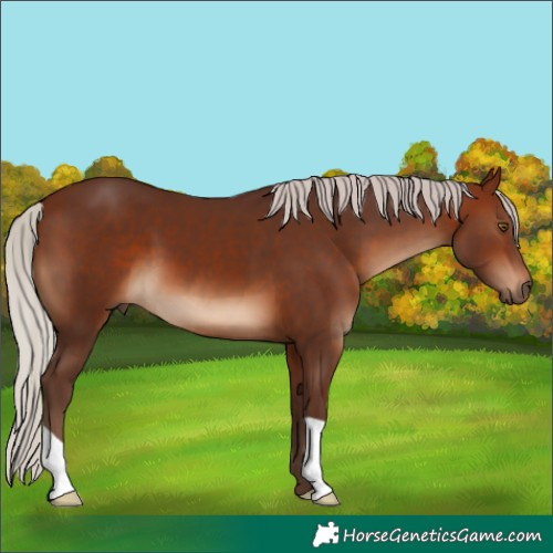 Horse Color:Silver Brown