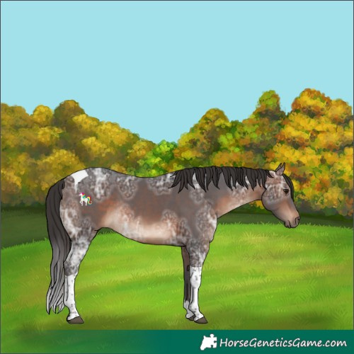 Horse Color:Brown Ice Tobiano Rabicano