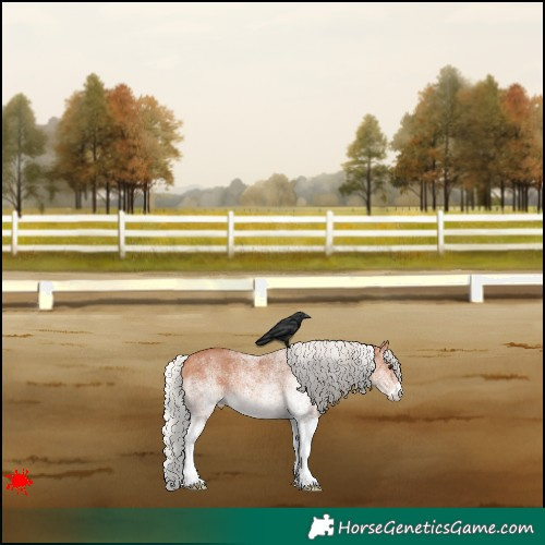 Horse Color:White Spotted Silver Bay Appaloosa