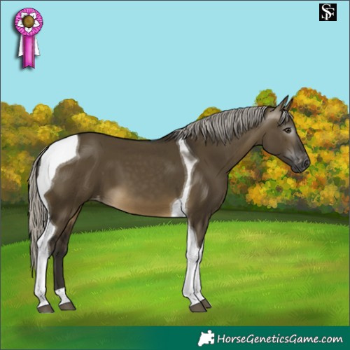 Horse Color:Gray Silver Buckskin Dun Tobiano Varnish