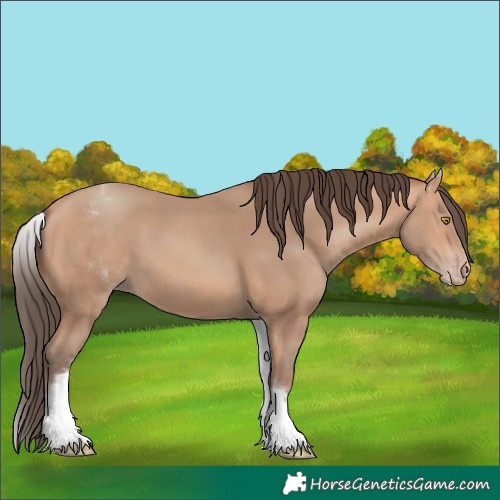 Horse Color:White Spotted Amber Champagne
