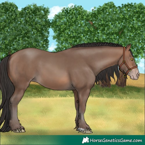 Horse Color:Sable Champagne 