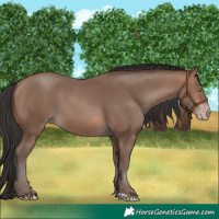 Horse Color:Sable Champagne 