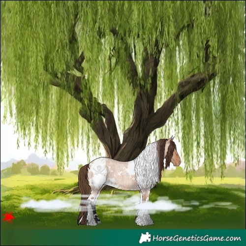 Horse Color:White Spotted Bay Roan Dun Varnish