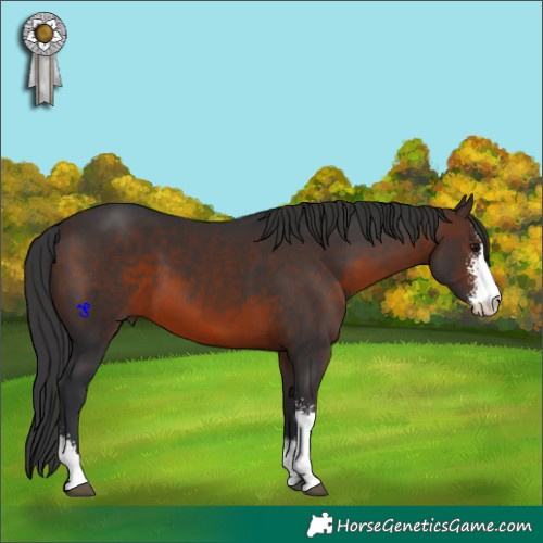 Horse Color:Brown Sabino 