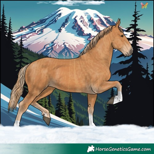 Horse Color:Chestnut and Chestnut