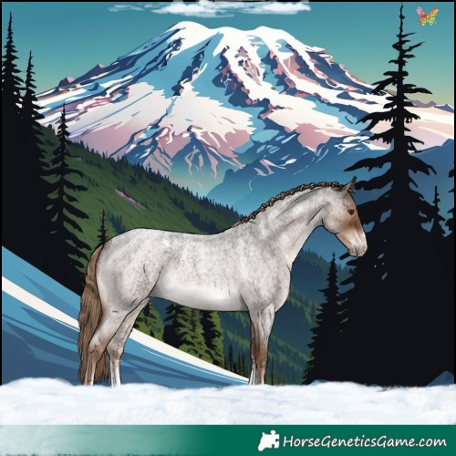 Horse Color:Powder White Liver Red Roan Rabicano 