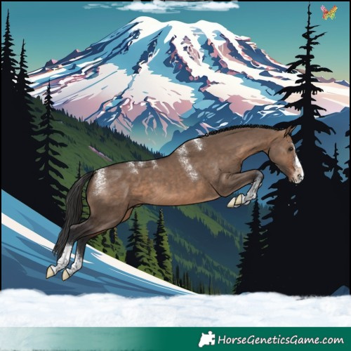 Horse Color:Powder White Brown Dun Splash Tobiano 