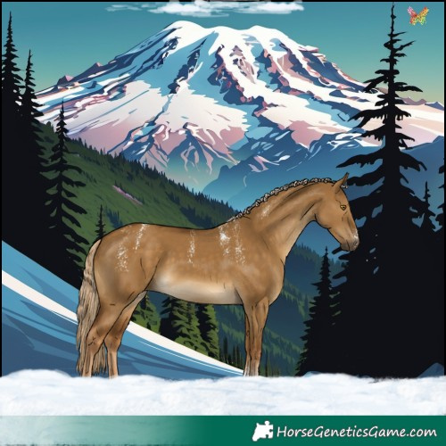 Horse Color:Powder White Chocolate Palomino Dun