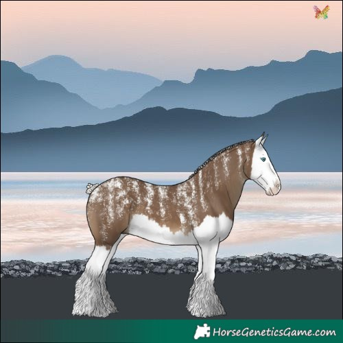 Horse Color:Powder White Silver Smoky Black Splash
