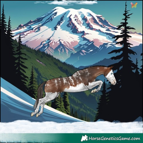 Horse Color:Powder White Bay Splash