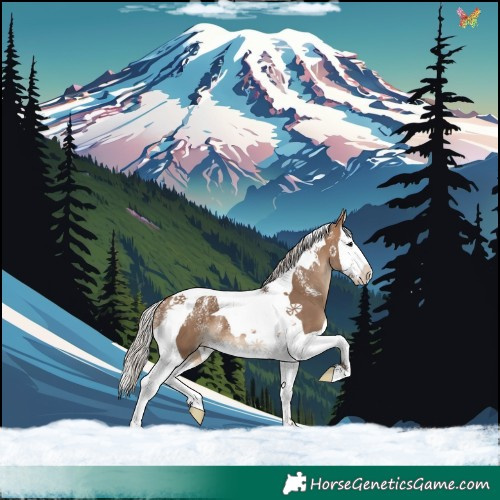 Horse Color:Powder White Silver Brown Dun Splash Tobiano