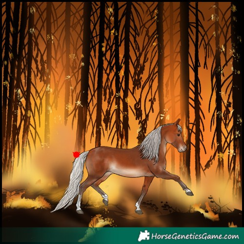 Horse Color:Silver Bay Tobiano