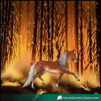 Horse Color:Silver Bay Tobiano 