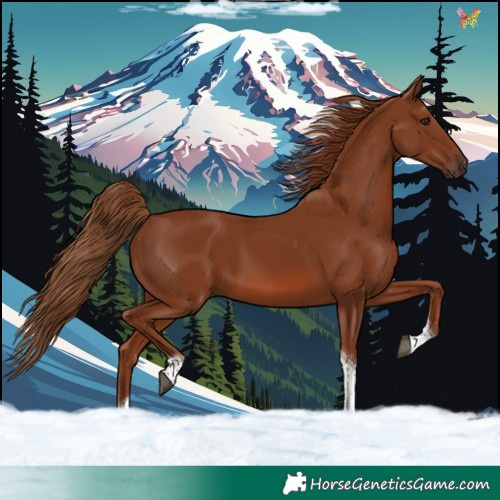 Horse Color:Chestnut Tobiano 