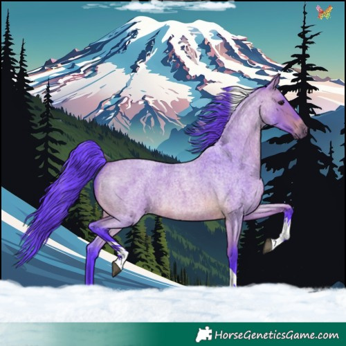 Horse Color:Watercolor Bay Roan Tobiano 