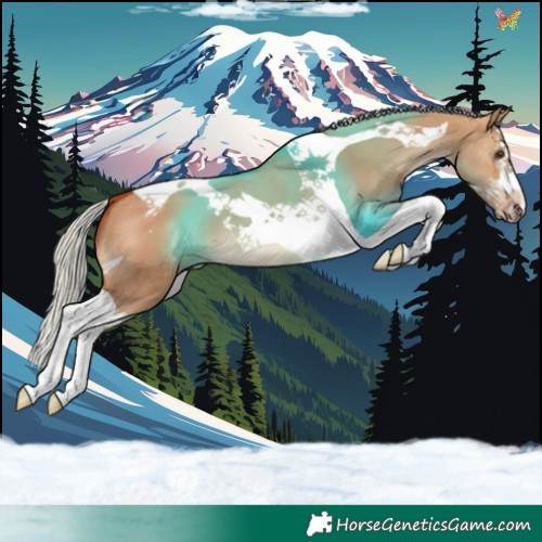 Horse Color:Silver Bay Dun Splash Tobiano 