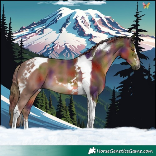 Horse Color:Gray Nacre Chestnut Tobiano 
